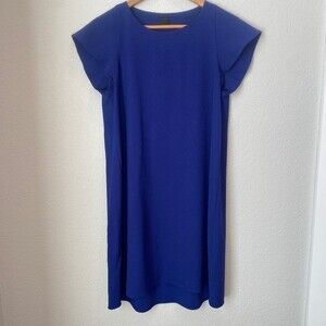 Pinko Blue Flutter Sleeve Crew Neck Shift Dress - Size 6 - EUC